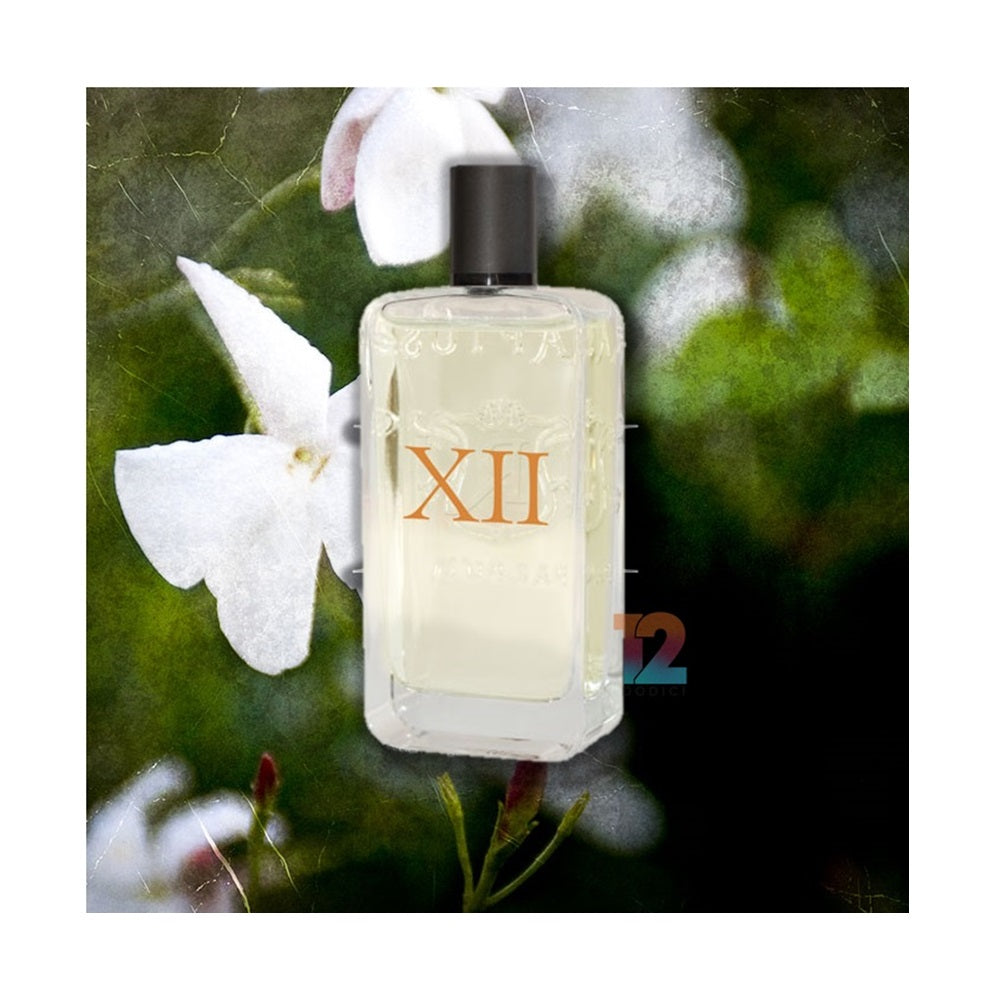 Raptus XII - 12 Parfum 20ml 100ml – Dodici