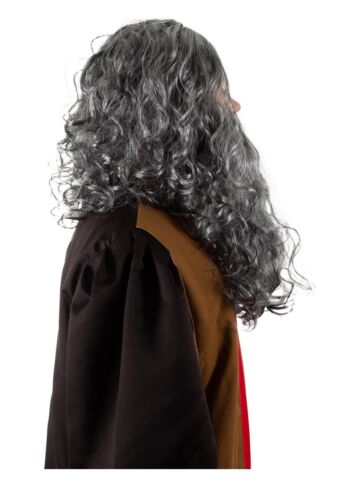 Parrucca e Barba Leonardo Da Vinci