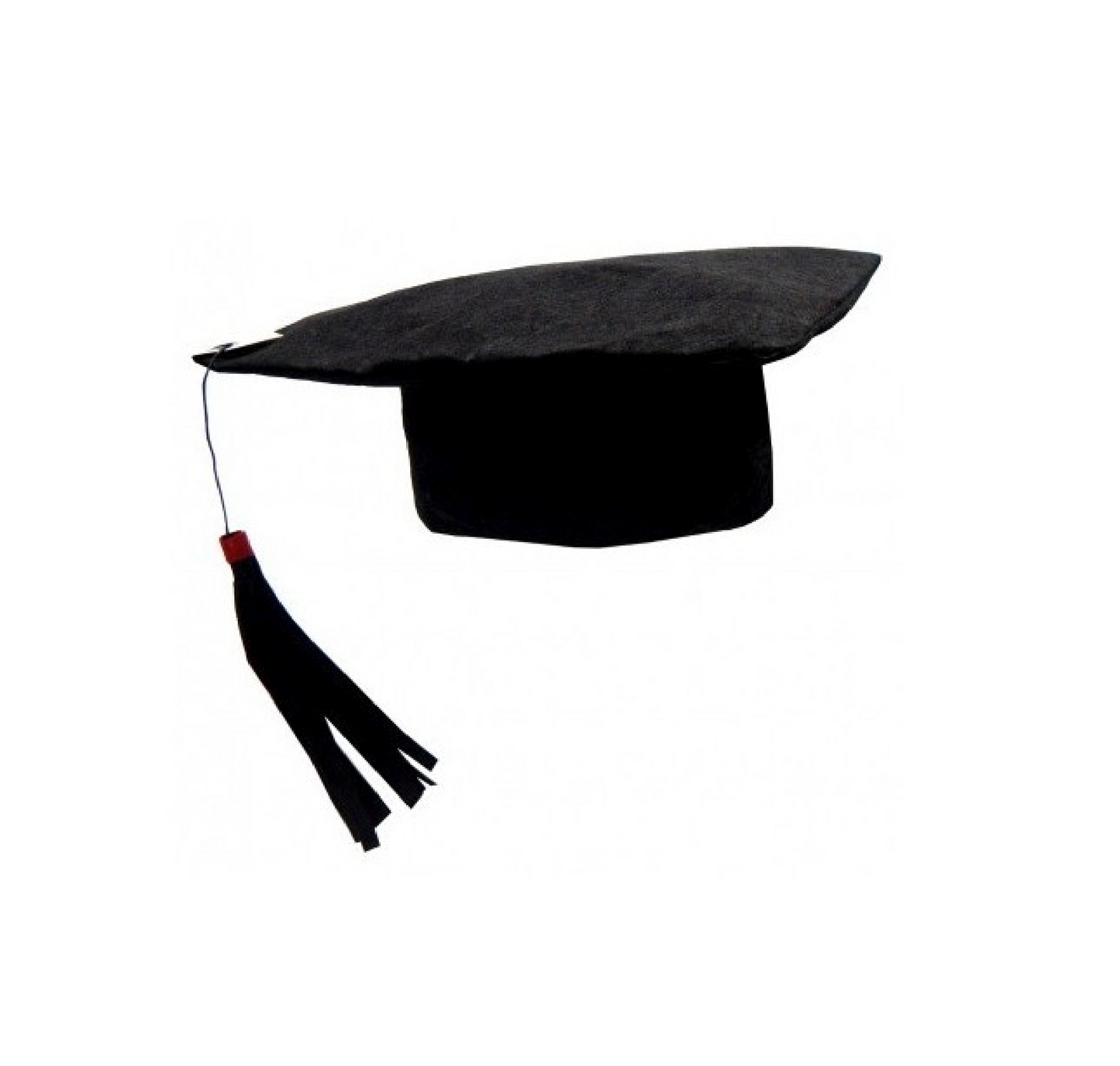 Tocco Laurea