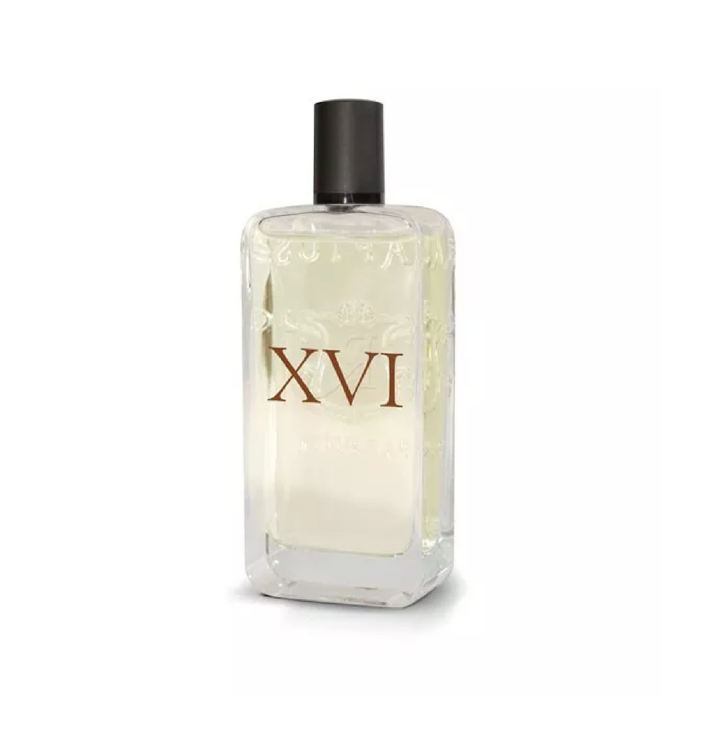 XVI - 16