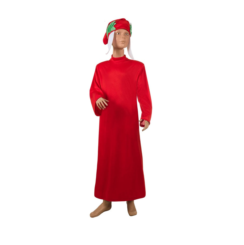 Costume Dante Alighieri Bambino Tg 9 10 anni a tg 13 14anni