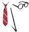 Set Costume Harry Potter Cravatta Bacchetta Occhiali Scopa mago strega