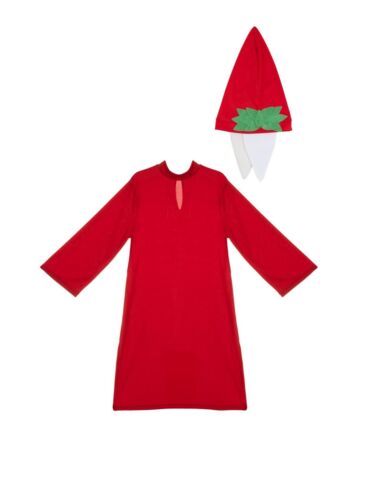 Costume Dante Alighieri Bambino Tg 9/10 anni a tg 13/14anni