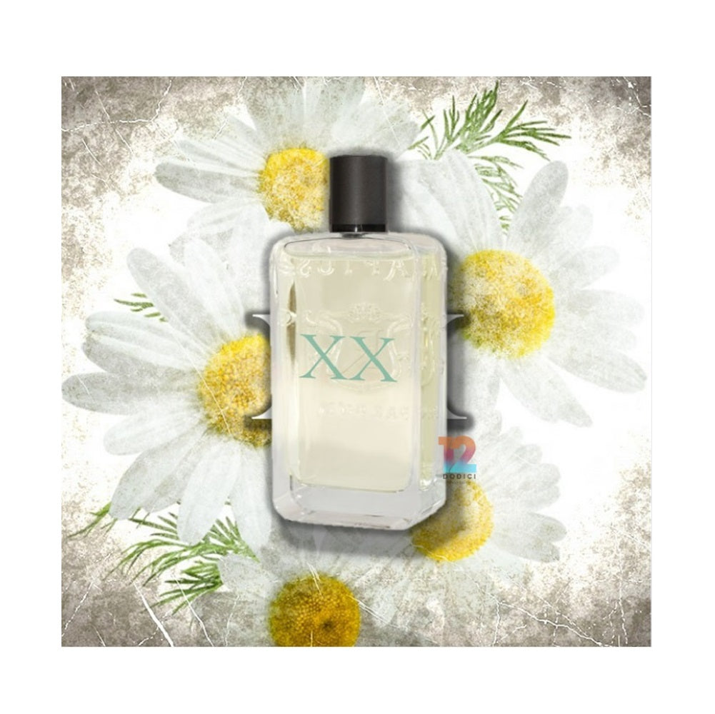 XX - 20