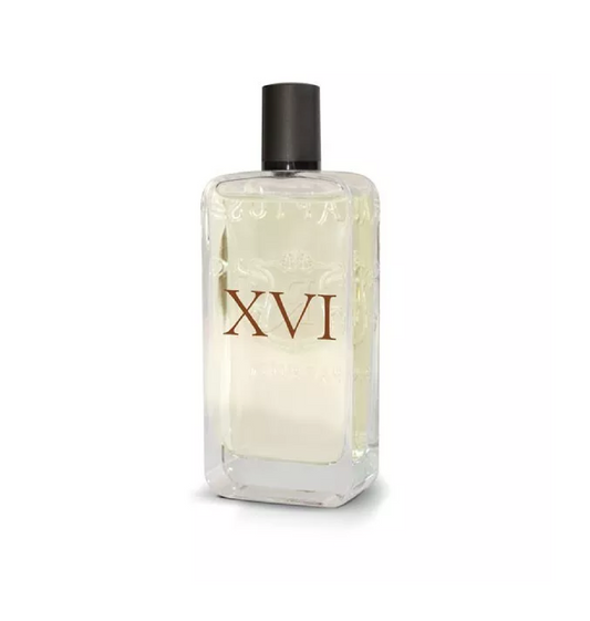XVI - 16