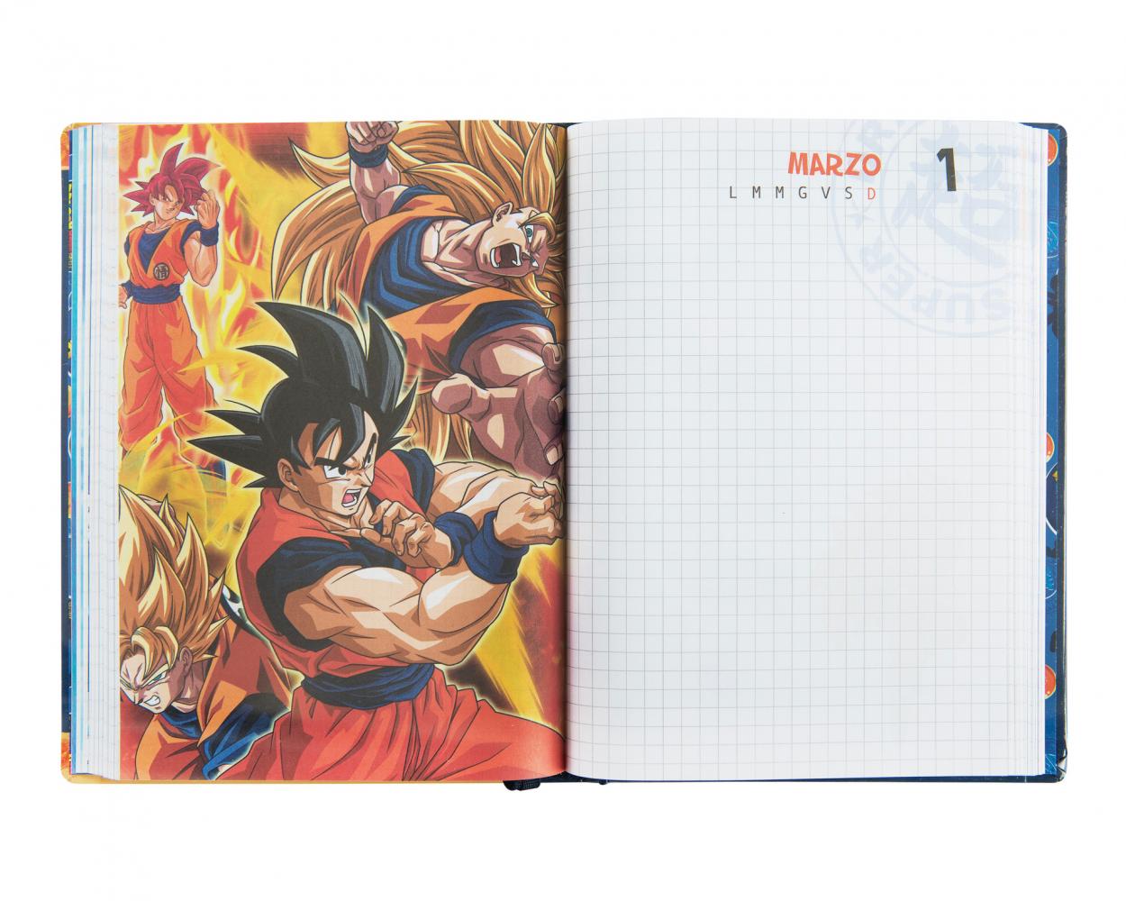Diario Dragon Ball 12 Mesi