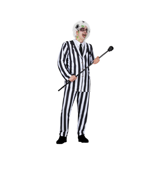 Costume Mister Scarafaggio Adulto